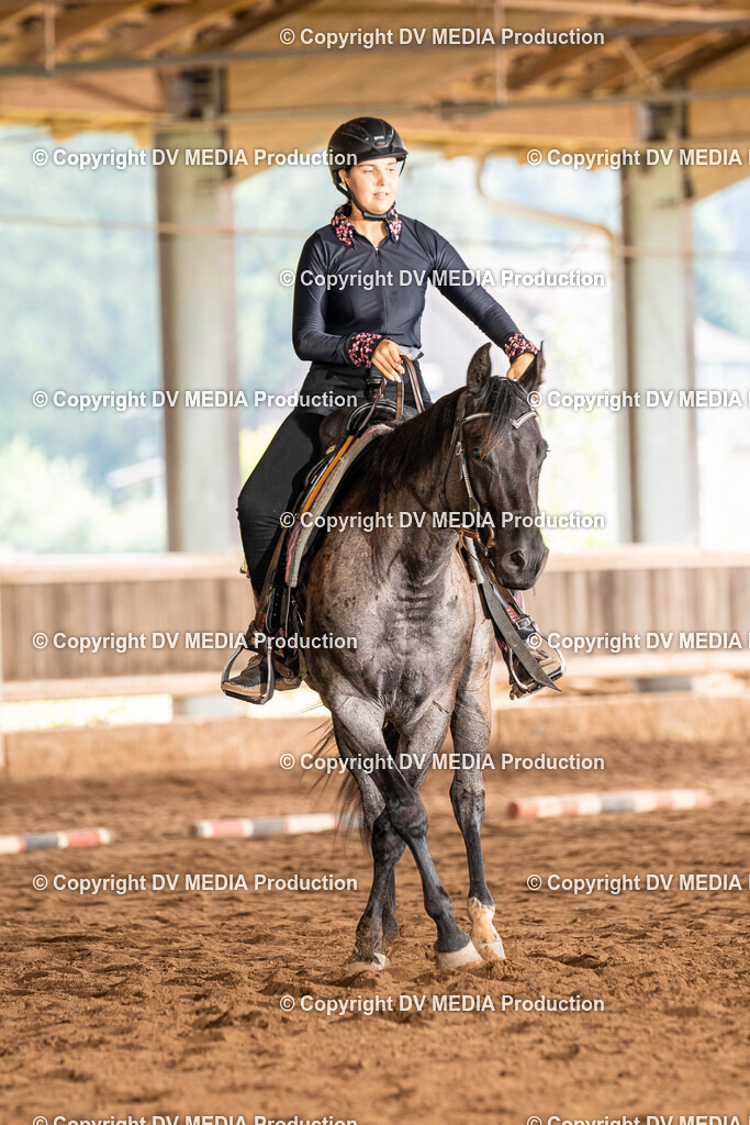 Erbach Tag 1-305 | dv-media-shop - Realisiert mit Pictrs.com