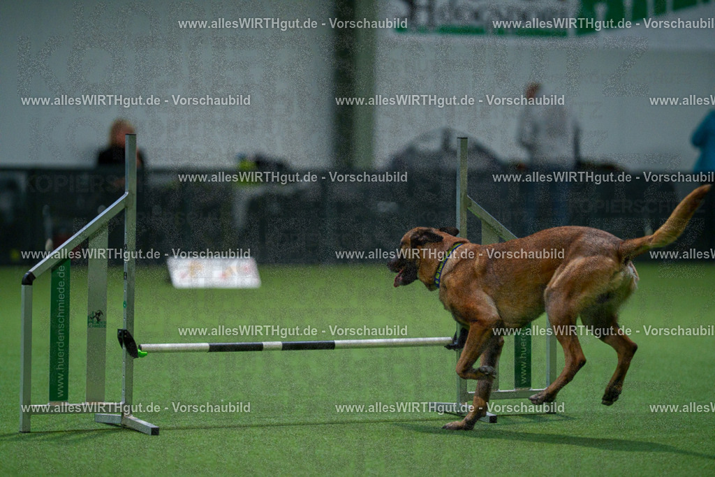 7R503705 | Professionelle Tierfotografie in Mönchengladbach von Daniel Wirth (allesWIRTHgut). Liebevolle & natürliche Bilder von Hunden & Katzen für unvergessliche Erinnerungen.