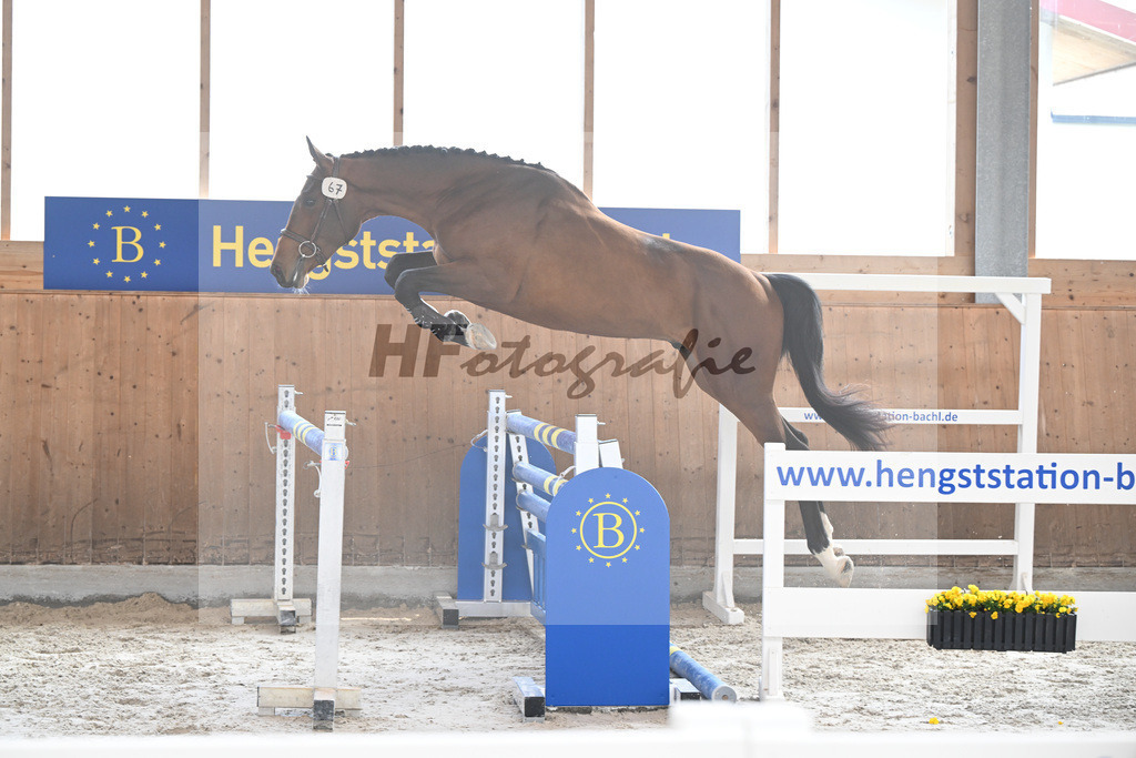 Kat-Nr. 67 Apple Blossom v h Beeckhof v. Bamako de Muze_KES-Kreidl_14260350 | hf-fotografie - Realizzato con Pictrs.com