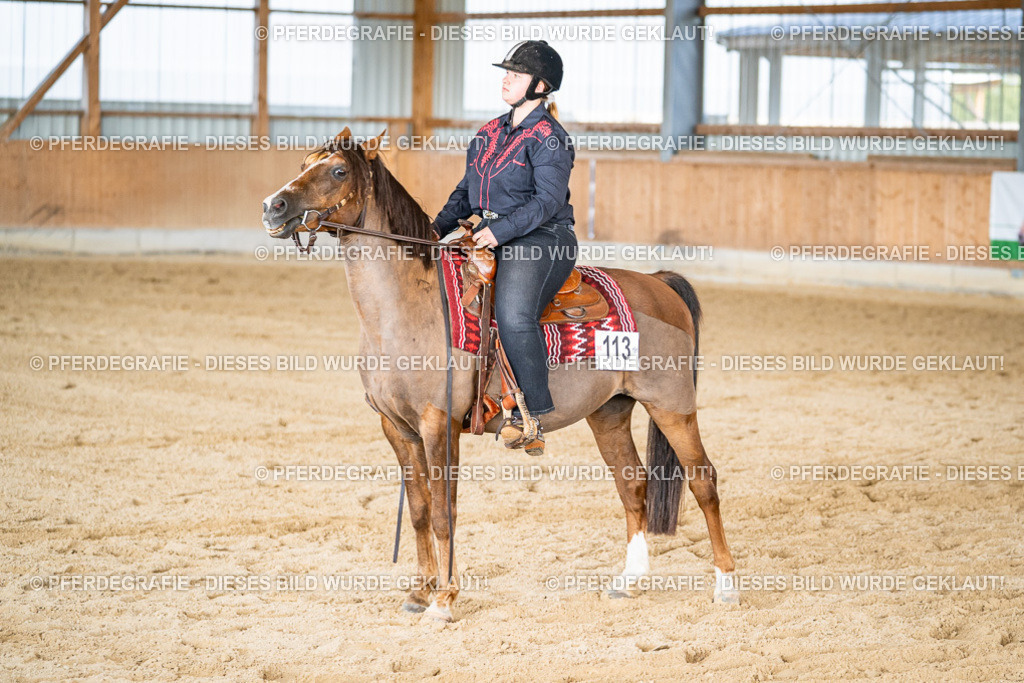 DSC09235 | Pferdegrafie