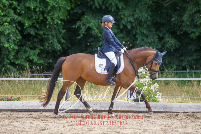 DKP46027 | Turniersportfotografie; Pferdefotografie; Dressurfotografie