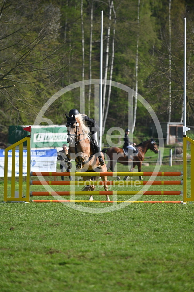 DSC_0087 | sattelsport - Realisiert mit Pictrs.com