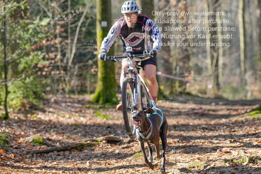 Bike_So-54 | stephaniefillaphotographie - Realisiert mit Pictrs.com