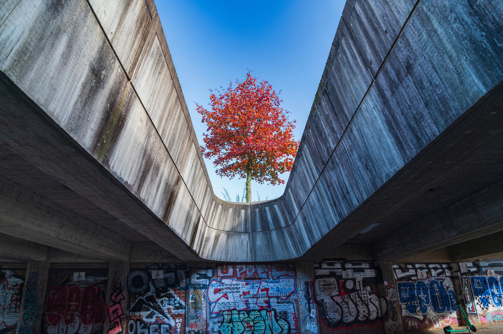 2024_10_22_HH-ALTONA-HERBST_MCP3436 | Hochwertig gedruckte Fotografien für die Wand, als Kalender und zum Verschenken. Hamburg & Norddeutschland und überall wo ich mit der Kamera unterwegs war.