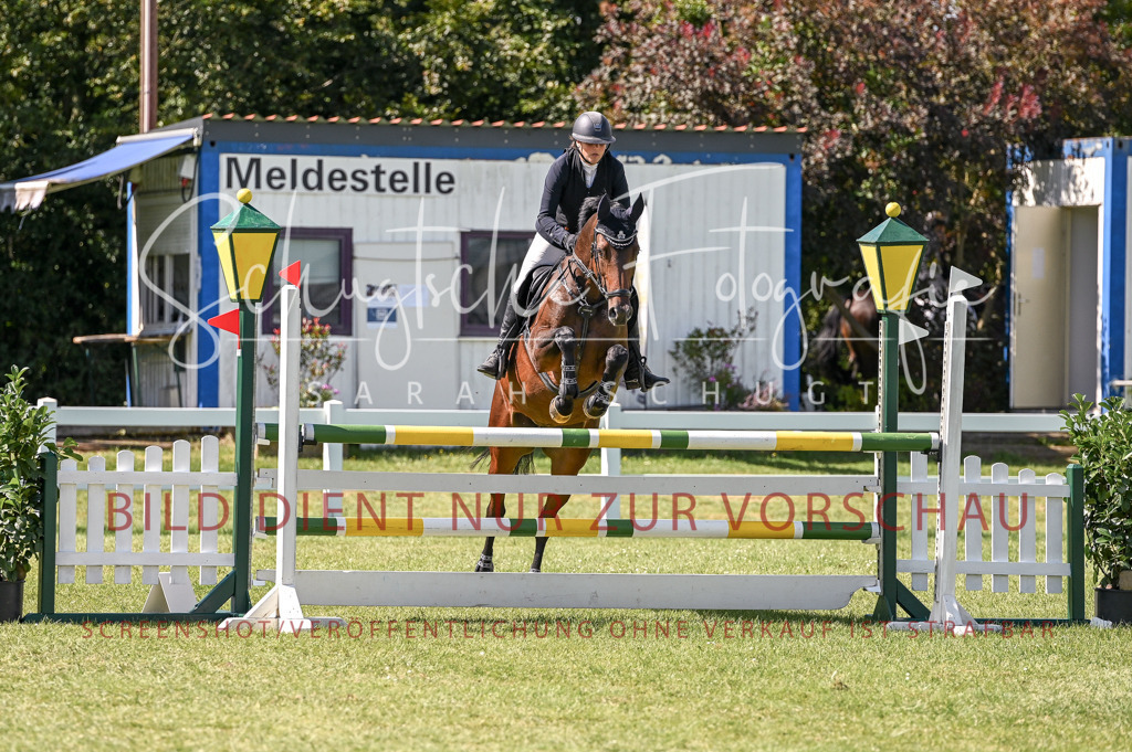 Schugtsche-Düren.2024-09.Springprf.L-57 | Schugtsche Fotografie - Realisiert mit Pictrs.com