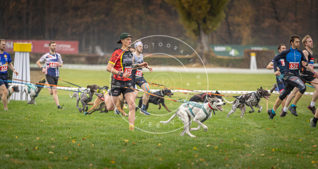 CaniXpix_DV3A9477 | Hundefotografie, Tierfotograf, Pfotenfotografie, Fotoshooting Hund, Hunde Portrait, Hundesport, Hundeportraits, Heideshooting, Hunde, Sportfotograf, Hundefotograf, Turnierhundsport, THS,  - Realisiert mit Pictrs.com