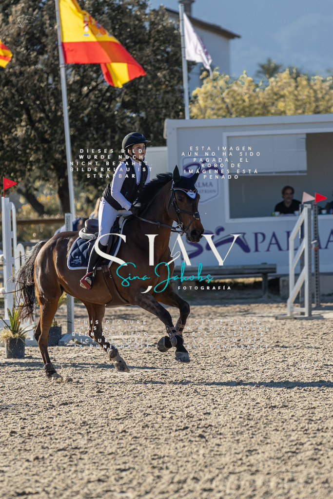 IMG_2226 | s-jay-photography - Realisiert mit Pictrs.com