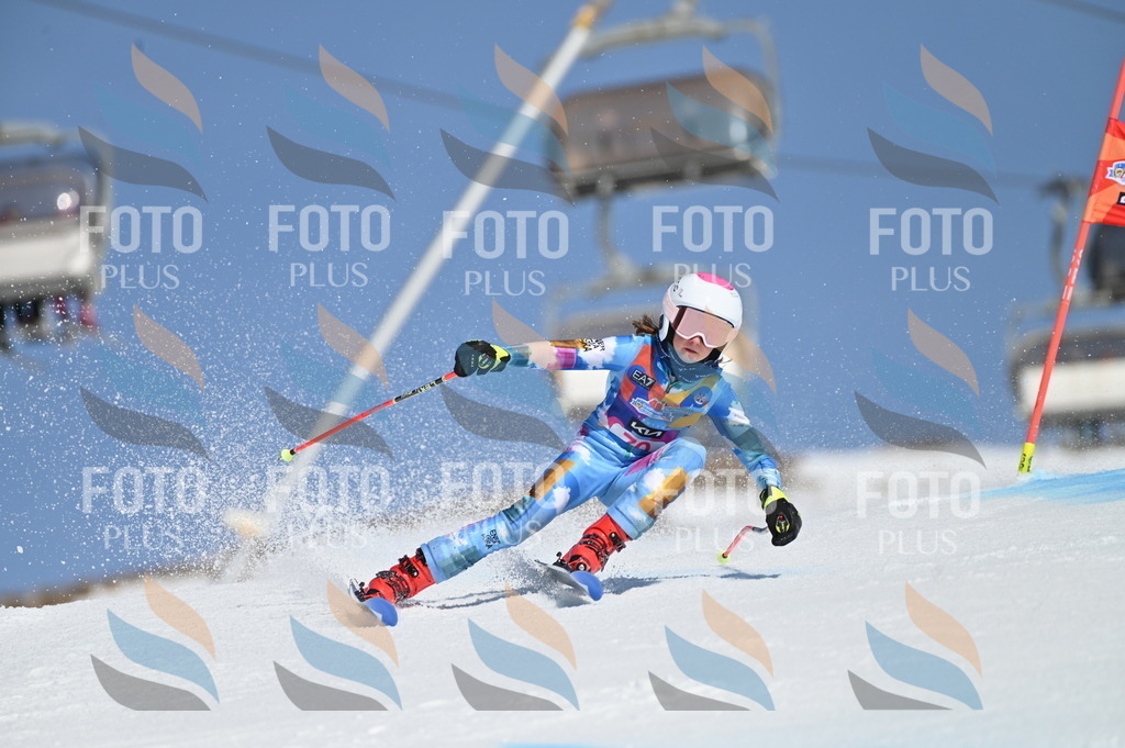 BGV_8900 | holidayphoto