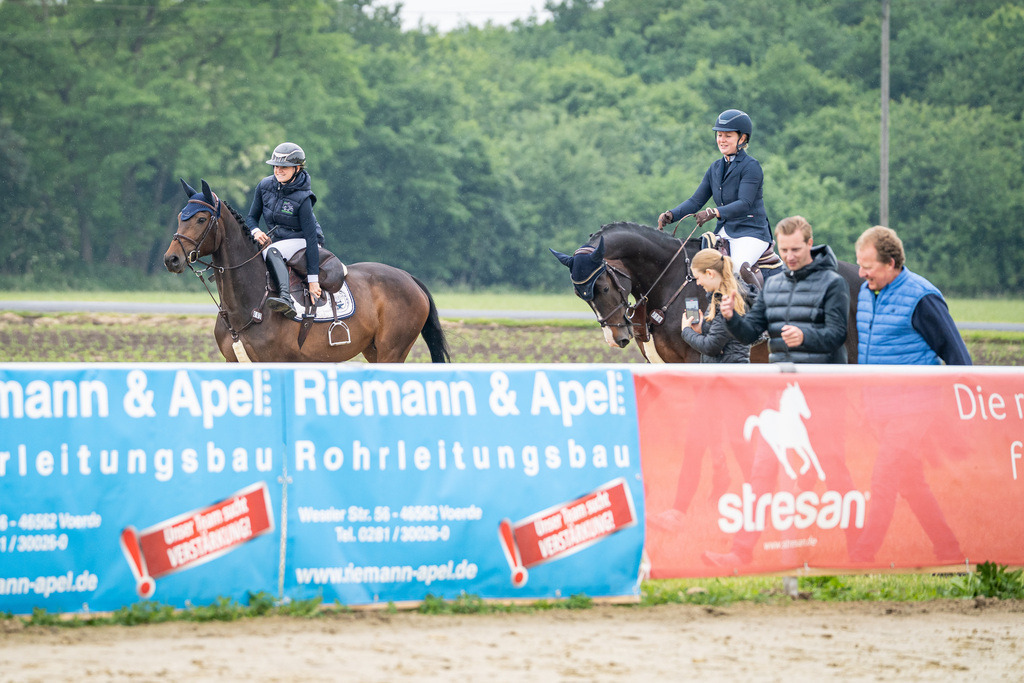 DSC09704 | Pferdegrafie