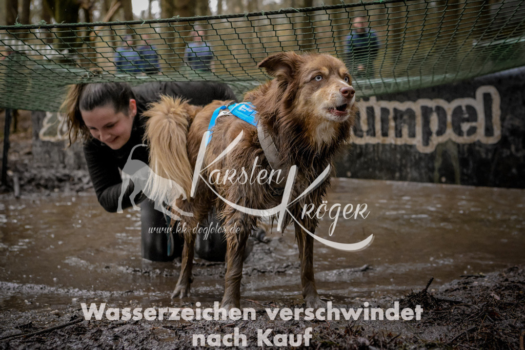 1021_ZZ90768 | kk-dogfotos