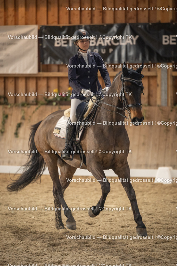 _D5A6650 | Emotionale Pferde- & People-Fotografie rund um Heidelberg, Leimen & Umgebung. Natürliche Fotos von Pferd, Mensch & Familie. Jetzt Termin sichern!