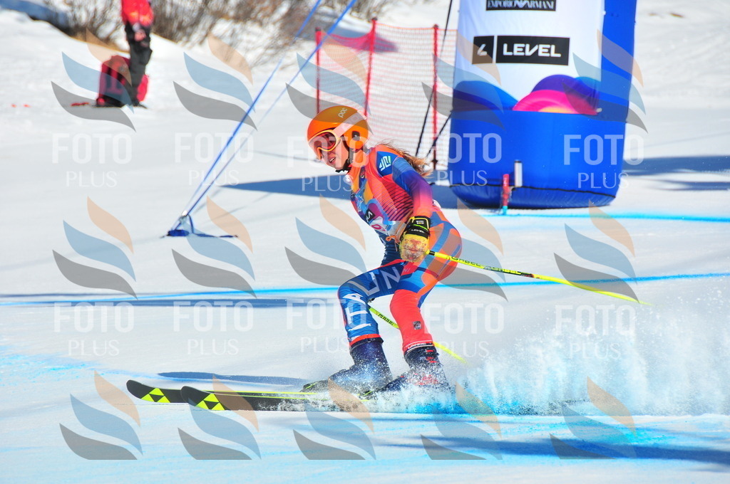 DSC_3741 | holidayphoto