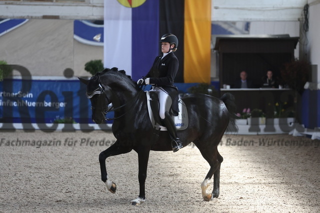 Pforzheim_2024_Prfg.Nr.04_Intermediaire II_Sabrina Linsenmaier_FBW Fiorenzo HJ (1) | Alle Fotos der Reiterjournal Fotografin Doris Matthaes im Reiterjournal Online-Fotoshop. - Realisiert mit Pictrs.com