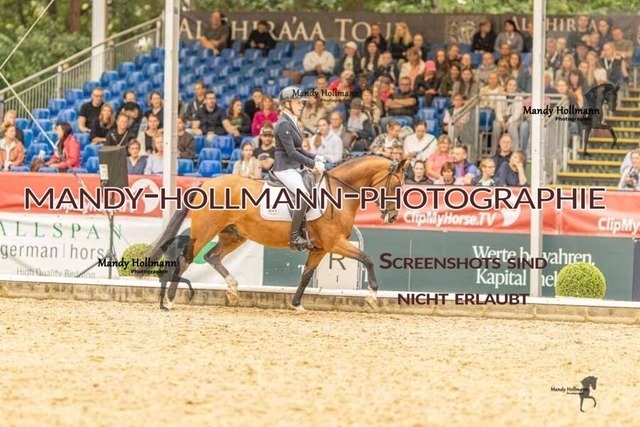 28-8-26 5j DRE-1329 | mandyhollmannphotographie