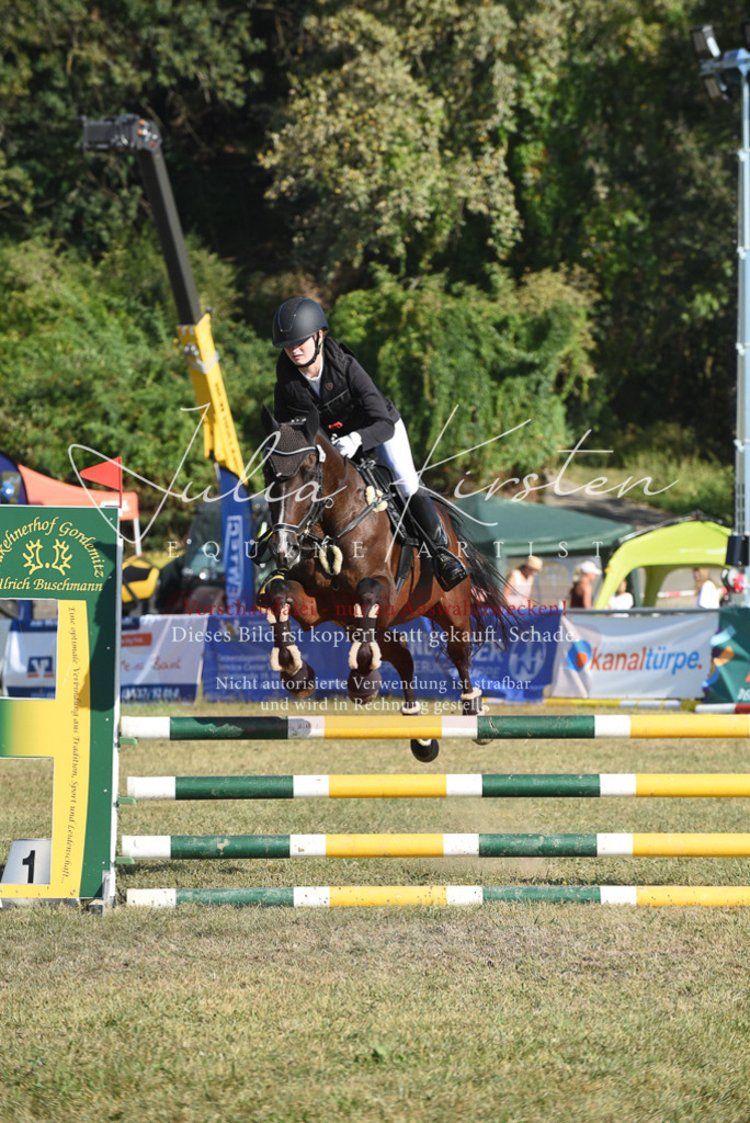 DSC_5362 | Pferde- und Turnierfotografie in Westsachsen. Pferdeportraits, Auftragszeichnungen und intuitive Kunst.