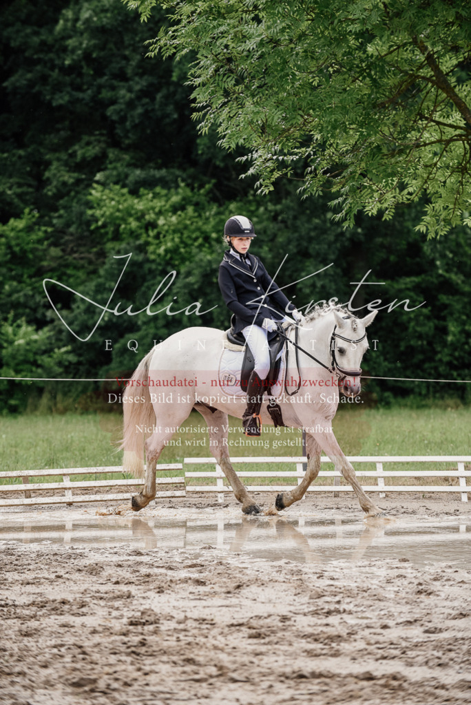 DSC_9415 | Pferde- und Turnierfotografie in Westsachsen. Pferdeportraits, Auftragszeichnungen und intuitive Kunst.