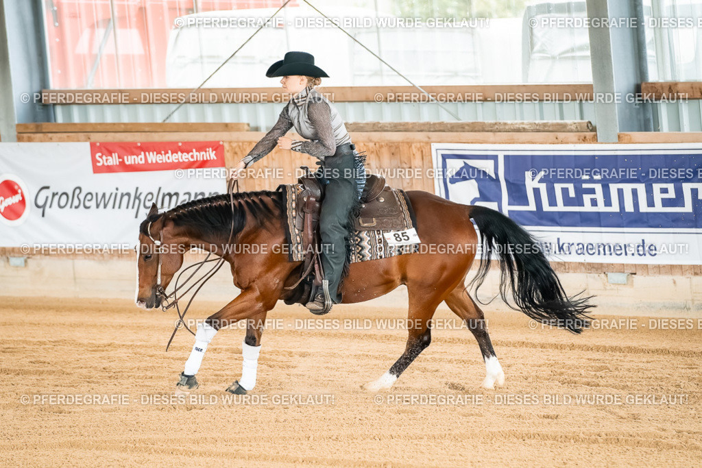 DSC02828 | Pferdegrafie