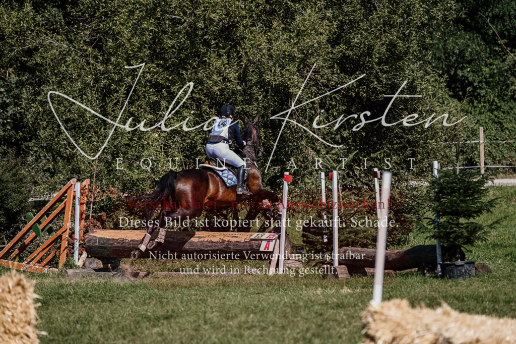 DSC_1856 | Pferde- und Turnierfotografie in Westsachsen. Pferdeportraits, Auftragszeichnungen und intuitive Kunst.