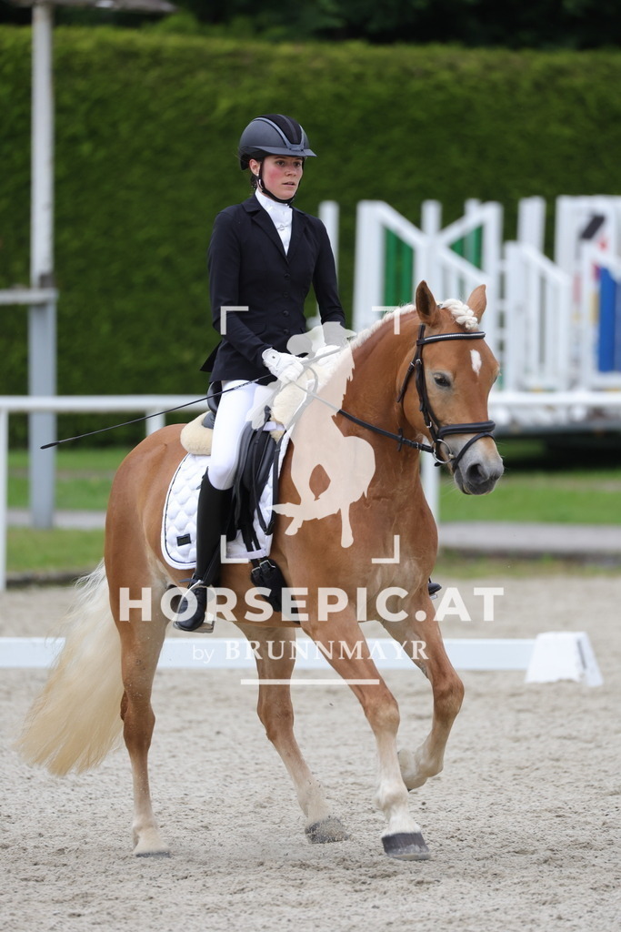 0P6A5248 | Willkommen bei Brunnmayr - Design & Fotografie – Ihrem Spezialisten für Reitturniere und Pferdeveranstaltungen in Oberösterreich, Salzburg und Bayern! Seit über 17 Jahren sind wir leidenschaftlich dabei.