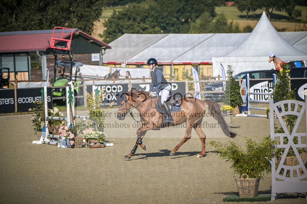 DOS_8717 | Entdecke hochwertige Reitturnierfotos von Foto Oger. Professionell, emotional und authentisch – jetzt Lieblingsmomente im Shop bestellen.Deutschlandweite Turnierfotografie. - Realisiert mit Pictrs.com
