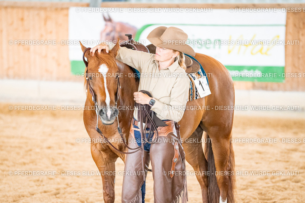 DSC01114 | Pferdegrafie