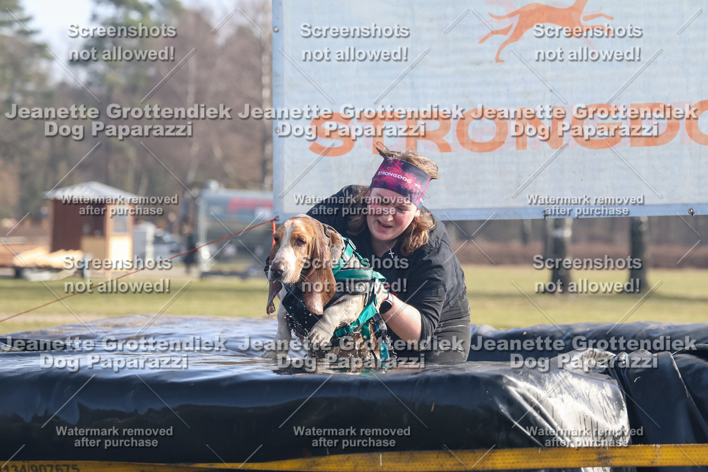 Dog Paparazzi - Strongdog North Mrz26-718 | Dog Paparazzi Jeanette Grottendiek Fotografie & Videografie - Realisiert mit Pictrs.com