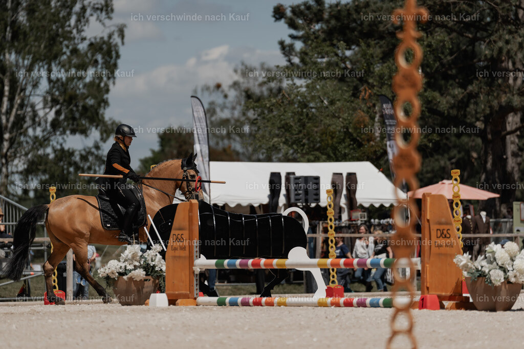 WE_ST_Stoib_319_PI2025_1280 | Pferd International München 2025