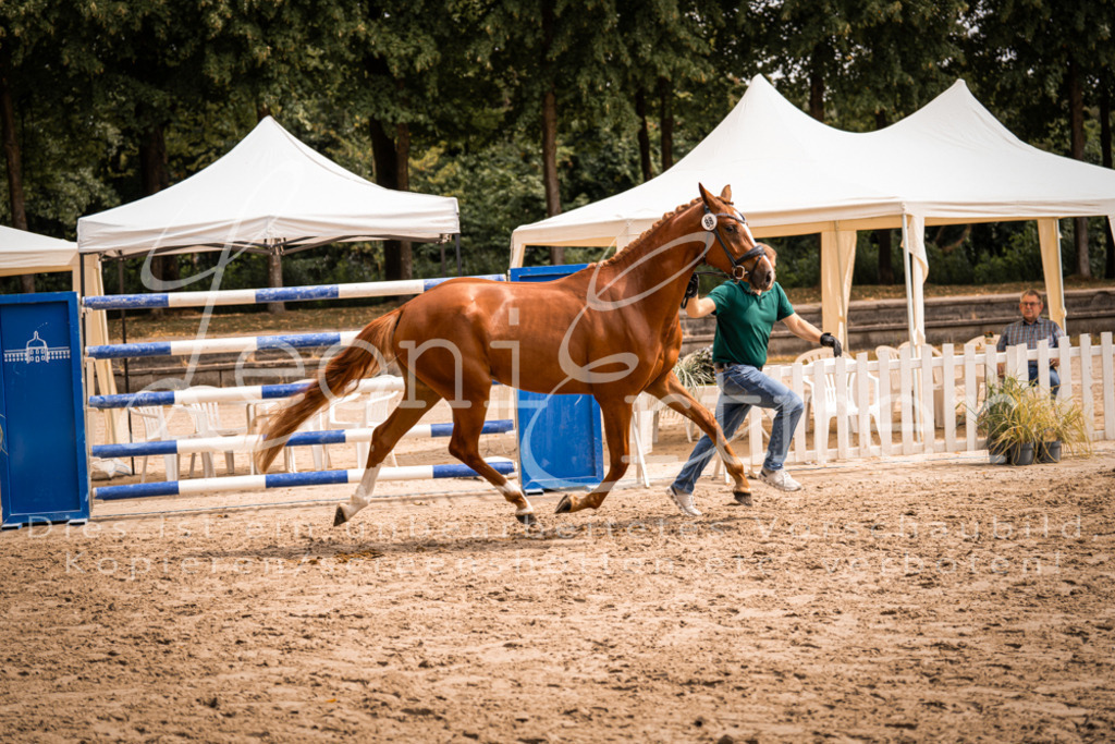 5.Fr00090 | Leoni Ertmer Photography - Realisiert mit Pictrs.com