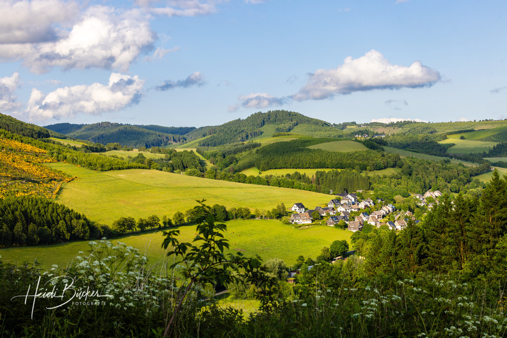 Westfeld und Umgebung 011 | Bilder und Impressionen zu jeder Jahreszeit aus dem Sauerland im Naturpark Sauerland-Rothaargebirge - Realisiert mit Pictrs.com