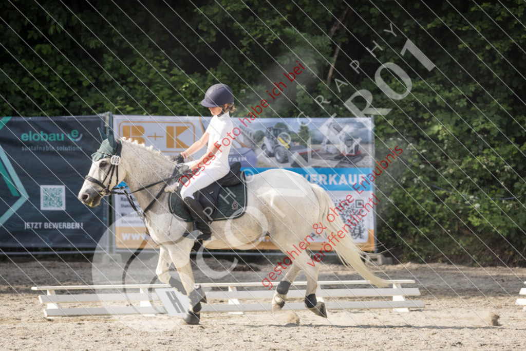 IMG_5909 | Sport-, Event- und Tierfotos in Profiqualität. Einfach auswählen, bestellen und herunterladen. Dein Moment – perfekt festgehalten.