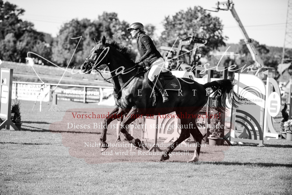 DSC_2266 | Pferde- und Turnierfotografie in Westsachsen. Pferdeportraits, Auftragszeichnungen und intuitive Kunst.