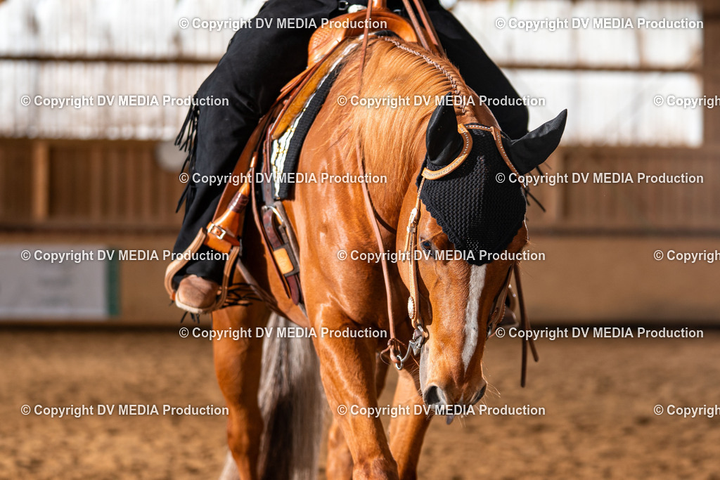 Balingen Tag 3-651 | dv-media-shop - Realisiert mit Pictrs.com