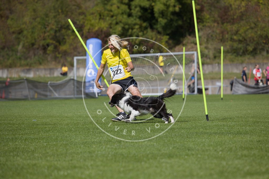 0L8A5973 | Hundefotografie, Tierfotograf, Pfotenfotografie, Fotoshooting Hund, Hunde Portrait, Hundesport, Hundeportraits, Heideshooting, Hunde, Sportfotograf, Hundefotograf, Turnierhundsport, THS,  - Realisiert mit Pictrs.com