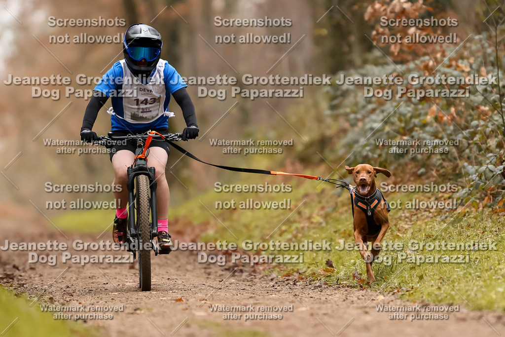 Dog Paparazzi - Speedhunter Mannheim  2025-400 | Dog Paparazzi Jeanette Grottendiek Fotografie & Videografie