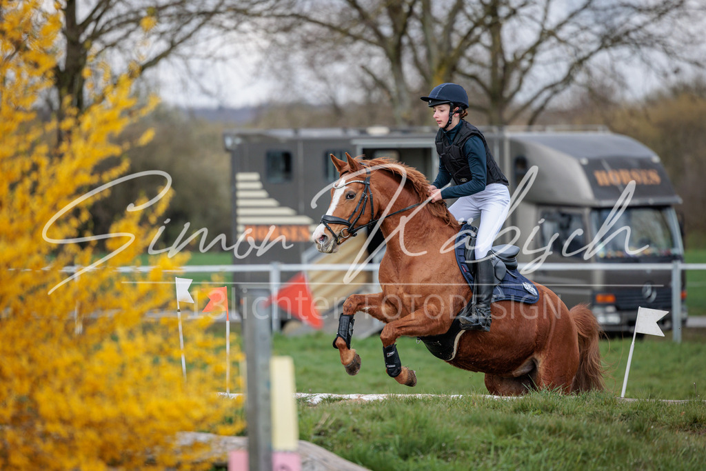 20260329-_3LI4525 | Tierfotografie Pferde, Hunde, Katzen, Haustiere.
Turnierfotografie Reitturniere, Reiten, Springreiten, Dressur in Hanau, dem Main-Kinzig-Kreis und dem Rhein-Main- Gebiet um Frankfurt