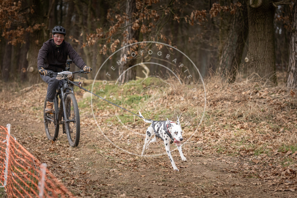 Pfotenfotografie_DV3A1961 | Hundefotografie, Tierfotograf, Pfotenfotografie, Fotoshooting Hund, Hunde Portrait, Hundesport, Hundeportraits, Heideshooting, Hunde, Sportfotograf, Hundefotograf, Turnierhundsport, THS,  - Realisiert mit Pictrs.com