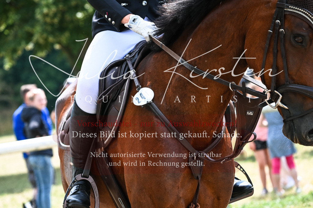 DSC_9033 | Pferde- und Turnierfotografie in Westsachsen. Pferdeportraits, Auftragszeichnungen und intuitive Kunst.