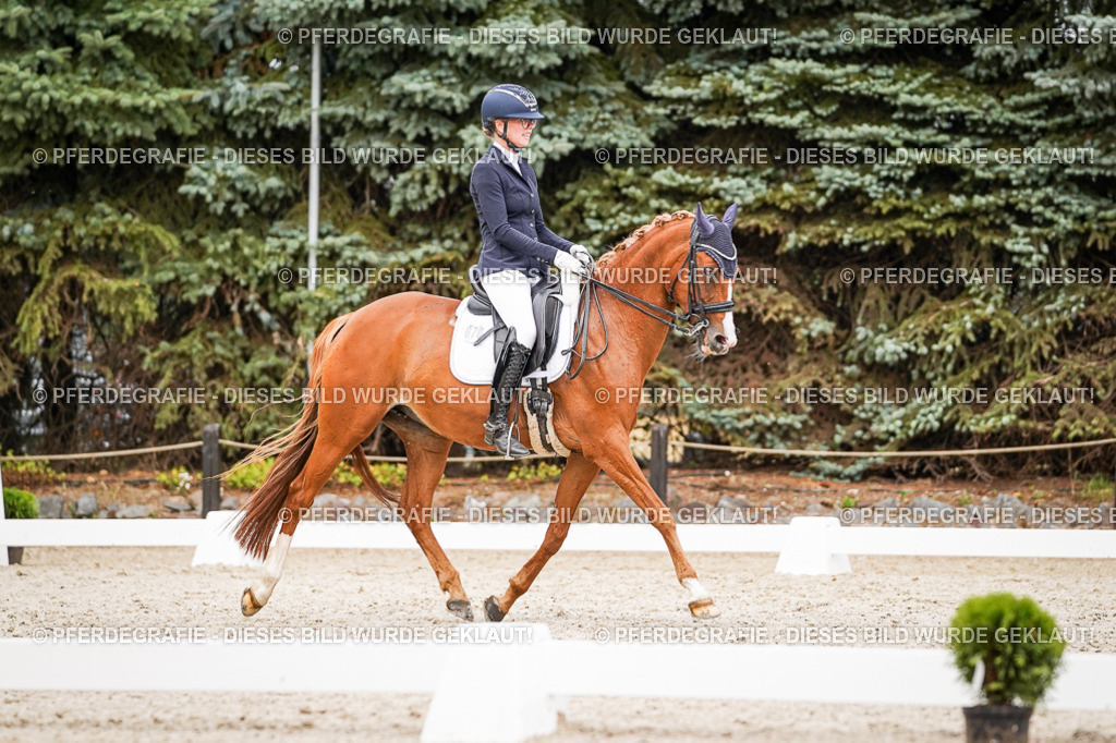 DSC07107 | Pferdegrafie