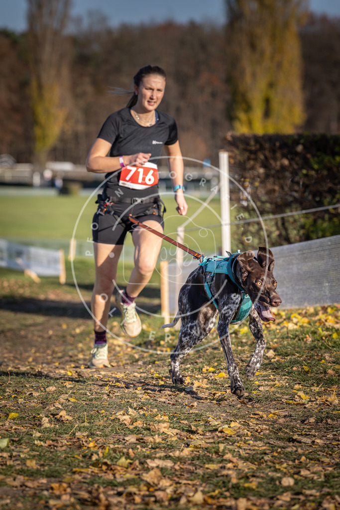 CaniXpix_DV3A1735 | Hundefotografie, Tierfotograf, Pfotenfotografie, Fotoshooting Hund, Hunde Portrait, Hundesport, Hundeportraits, Heideshooting, Hunde, Sportfotograf, Hundefotograf, Turnierhundsport, THS,  - Realisiert mit Pictrs.com
