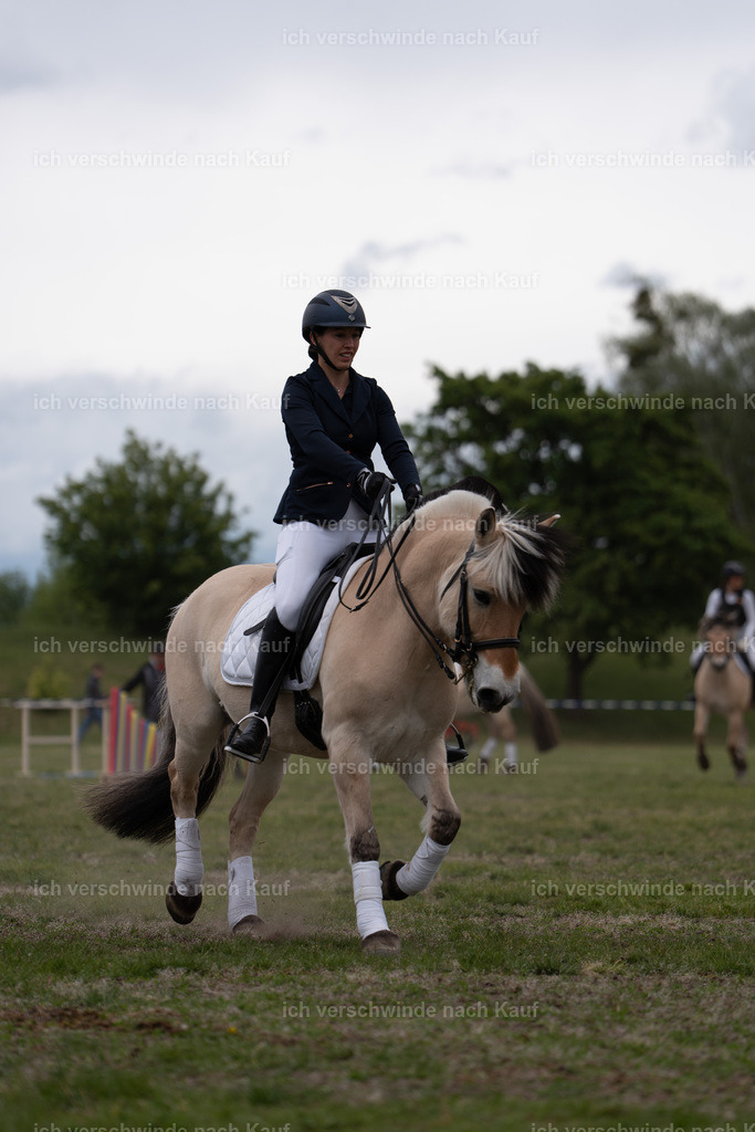 PI26_show_Jan_Picutures7C_06162.jpg | working equitationturnier fotograf videograf stoibphotography marixx film working equitation deutschland reitsport turnierfotografie eventfotografie equestrian events