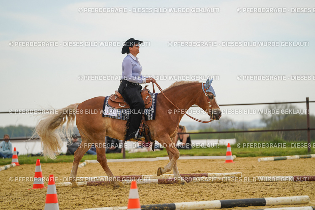 DSC02467 | Pferdegrafie