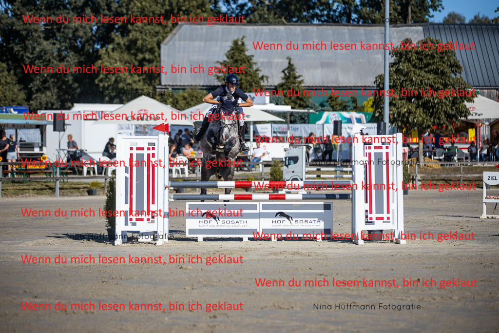 BK1A5980 | Turnierbilder Turnierfotos Nina Hüffmann Turnierfotografie Pferdefotografie Tierzeichnung Haustierzeichnung Pferdezeichnung Hundezeichnung Videograf  - Realisiert mit Pictrs.com