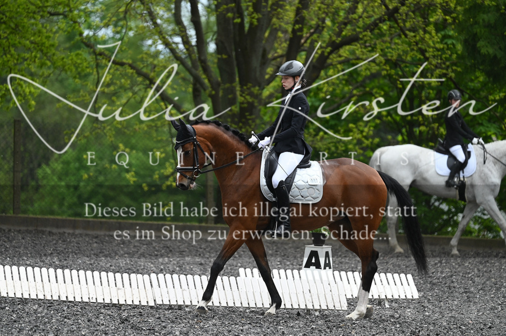 20230512_JK-Röhrsdorf-07-292 | Pferde- und Turnierfotografie in Westsachsen. Pferdeportraits, Auftragszeichnungen und intuitive Kunst.