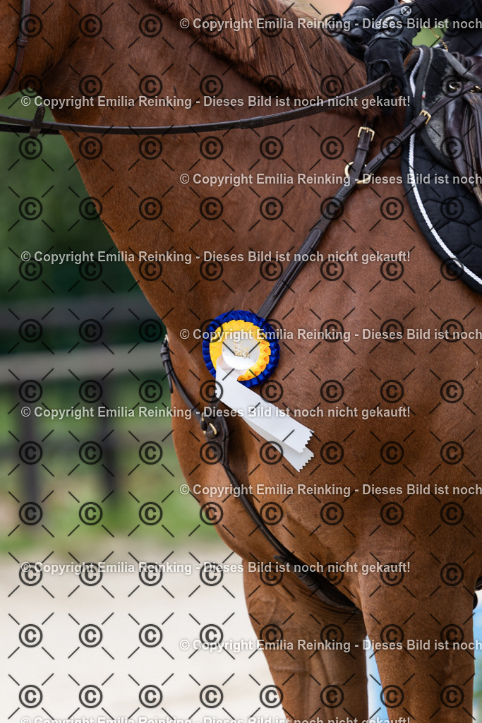 CL5A5514 | Emilia Reinking Fotografie - Realisiert mit Pictrs.com