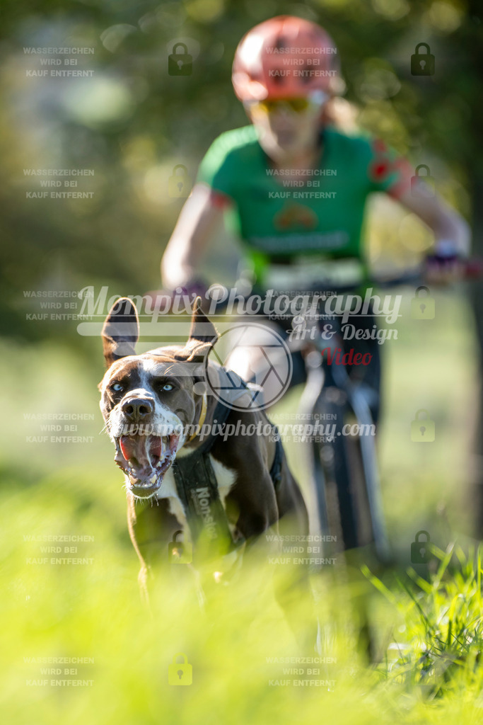 MompixPhotography_20TSB_E3_DS1-33 | PayLife