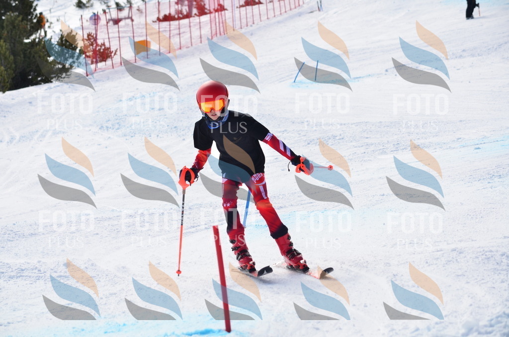 D0024 | holidayphoto