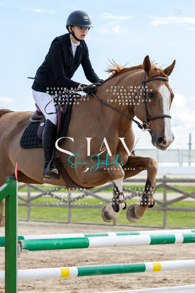 IMG_2918 | s-jay-photography - Realisiert mit Pictrs.com