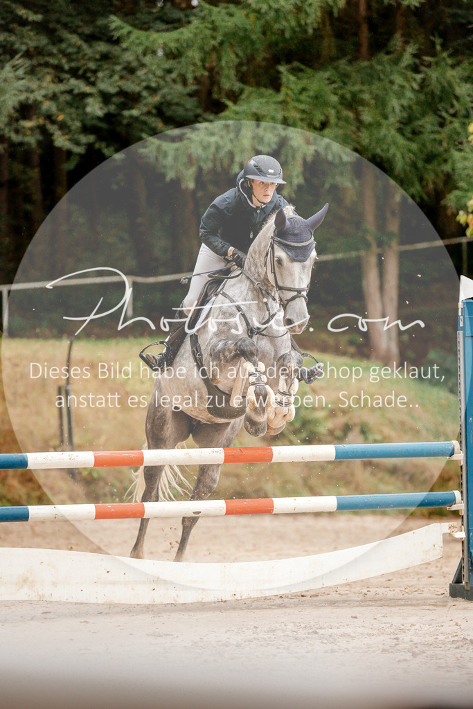 3I6A5945 | Stimmungsvolle Portraits und Reitsportfotografie im Ruhrgebiet und im Münsterland.

Pferdefotografie, Hundefotografie, Tierfotografie, Reportagen, Portraits von Tier und Mensch, Turnierfotografie in Bochum, Recklinghausen, Marl, Haltern am See, Dülmen.. - Realisiert mit Pictrs.com