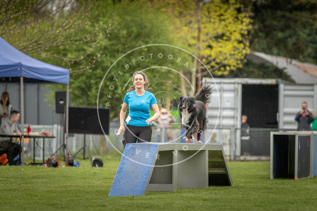 Pfotenfotografie_DV3A2885 | Hundefotografie, Tierfotograf, Pfotenfotografie, Fotoshooting Hund, Hunde Portrait, Hundesport, Hundeportraits, Heideshooting, Hunde, Sportfotograf, Hundefotograf, Turnierhundsport, THS,  - Realisiert mit Pictrs.com