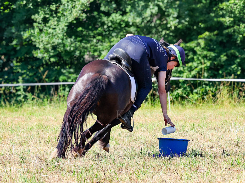 1B3A7874 | Reitsport Reiten